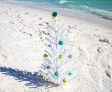 Christmas Tree ont the beach